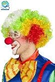 PARRUCCA CLOWN ADULTO